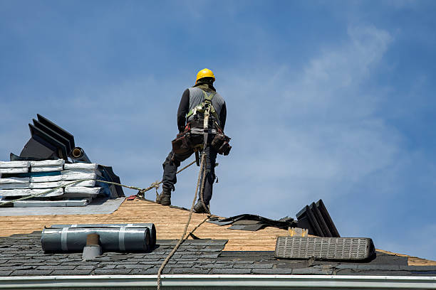 Professional Roofing technician working in Lamoure, ND